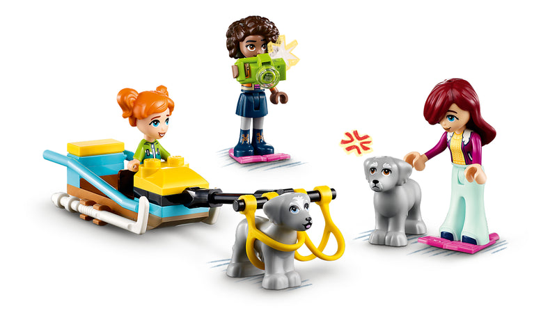 LEGO 41760 Friends - Igluseikkailu
