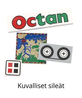 LEGO kuvalliset sileät