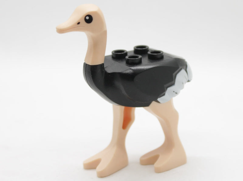 Strutsi